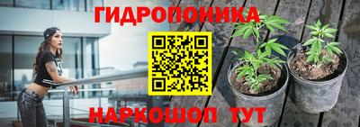 стафф Можга